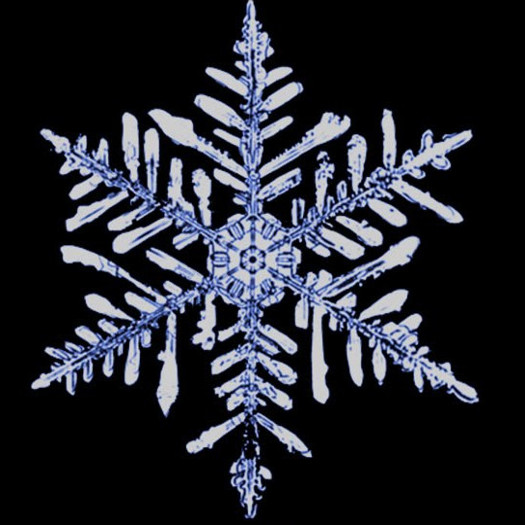 Fernlike snowflake